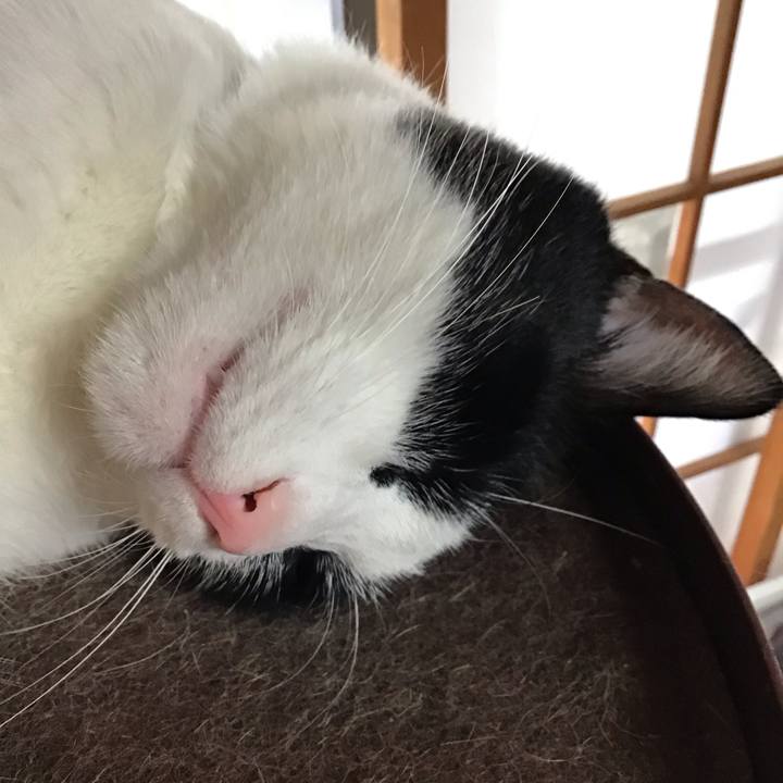 F400d54b 57aa 4a5d 878a df3f7a0dbc11 1714813960470