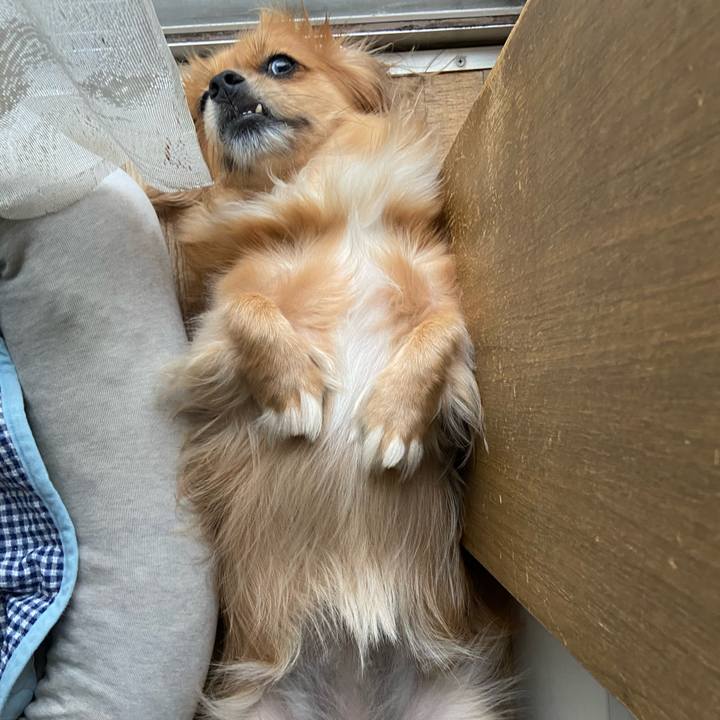 F4010598 0d1a 4d34 9133 9e8c61b16fb8 1599689334212