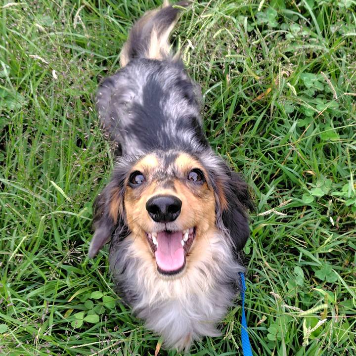 F4011d2a 2b1b 4890 be88 ac0c02e02dab 1760697440581