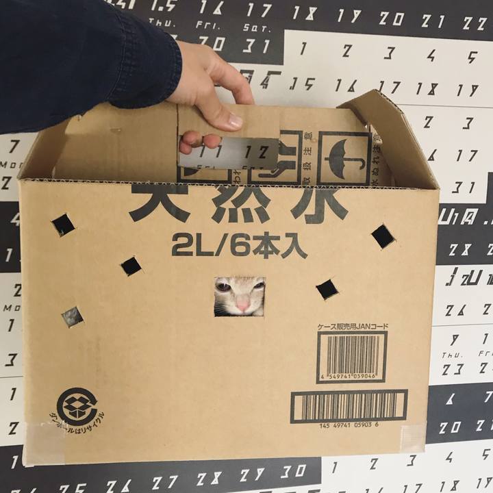 F4013132 61ad 43fe a2f8 d22aba0c4502 1541987470785