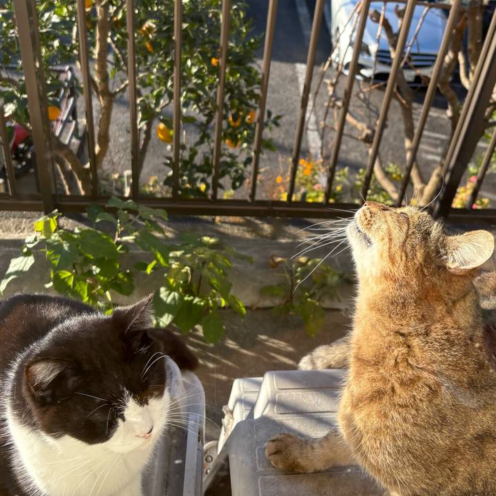 F40181c2 b629 4d77 b2c3 1fd68a95ed0f 1765497340665