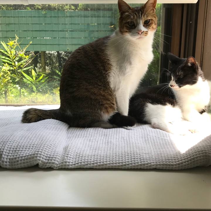 F401ca9f 23a9 4c55 a367 543614df19f9 1529983944868