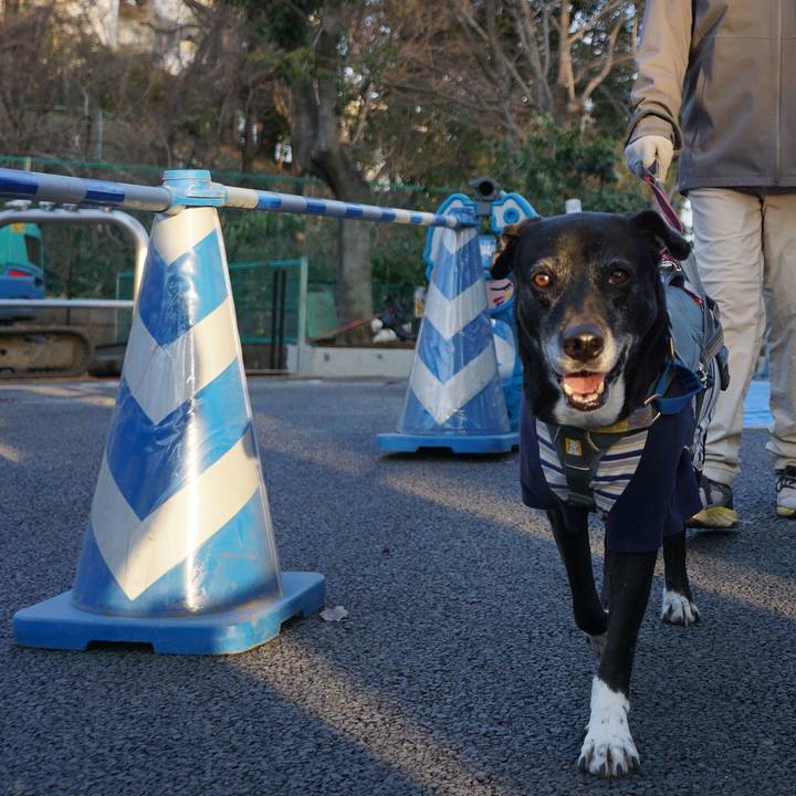 F401d300 8255 4779 8f1c 8e4cddadf398 1768870406997