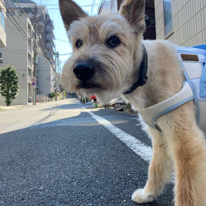 F402035c d7e9 40ca 8742 06e10361f74d 1766129779880