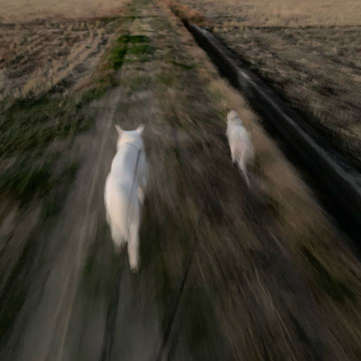 F4021837 c82c 4949 a750 770b2b97834a 1576402346687