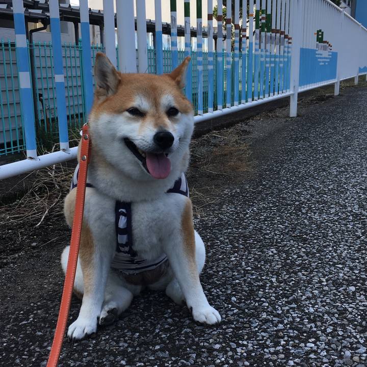 F402426f c7b0 4657 be66 142c70d1c2b9 1569982971331