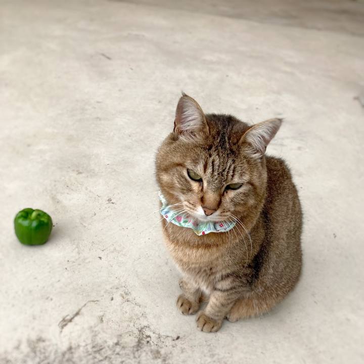 F4024acd 0e4a 47e7 ba47 da618b162e14 1654913336633