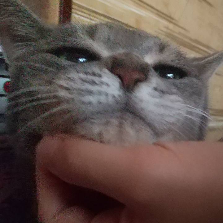 F4029caa 106a 47b8 ae34 af7db2d7c631 1624921191496