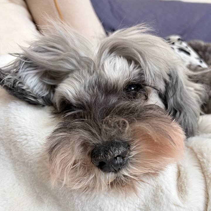 F402c0a6 d930 4740 ac01 e266664063ff 1766398563033