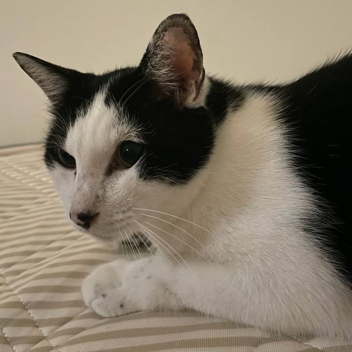 F4030489 99af 4816 833b 6827fa955f5e 1661527473148