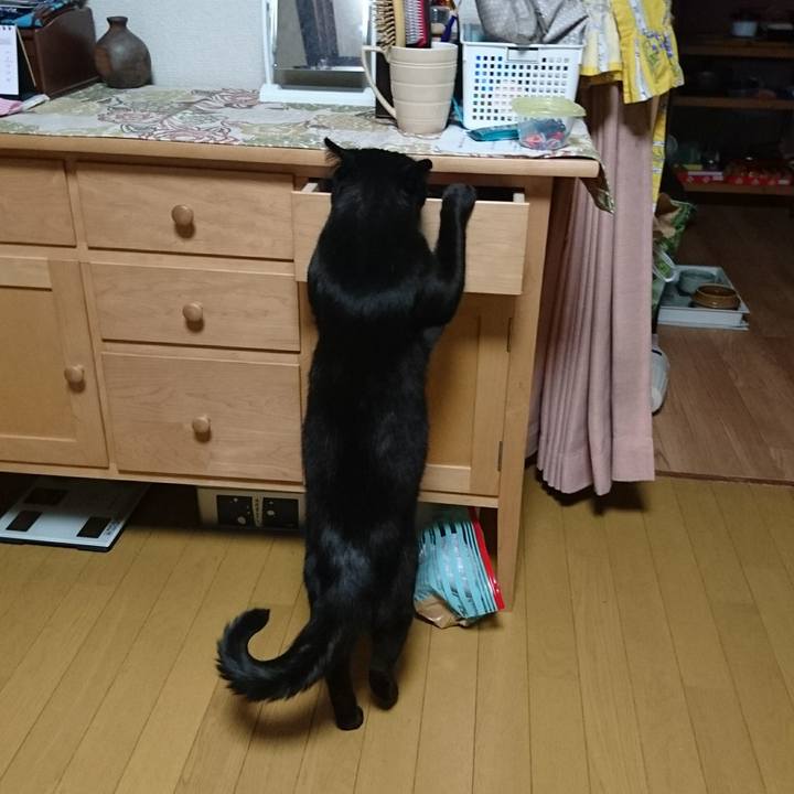 F4032568 8a72 4129 bceb aad4a075703f 1525179997187