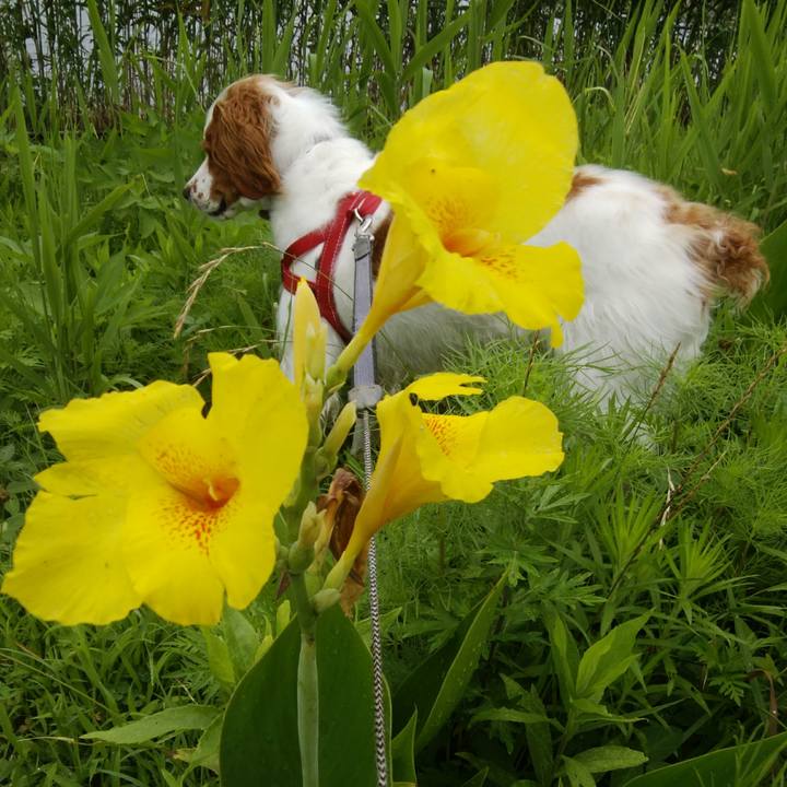 F403fbc6 6c66 4796 9abc 098fb6f9d49e 1530783951221