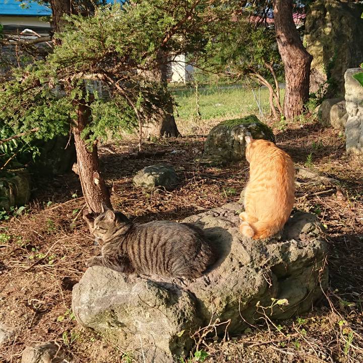 F4046dc9 108e 43d5 87a9 49ccaf9b8637 1662932940238