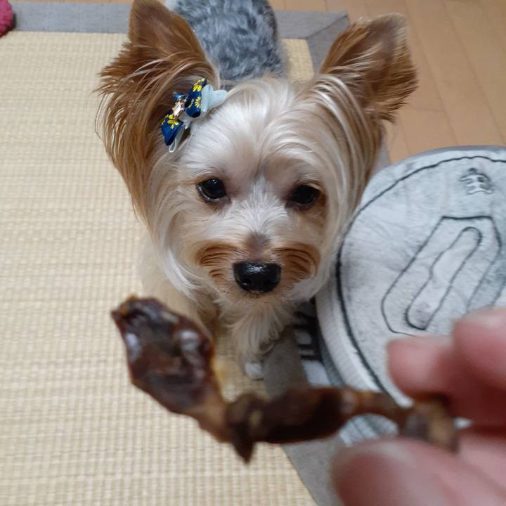 F404779a 1317 437b a999 b8f144943276 1565505428318