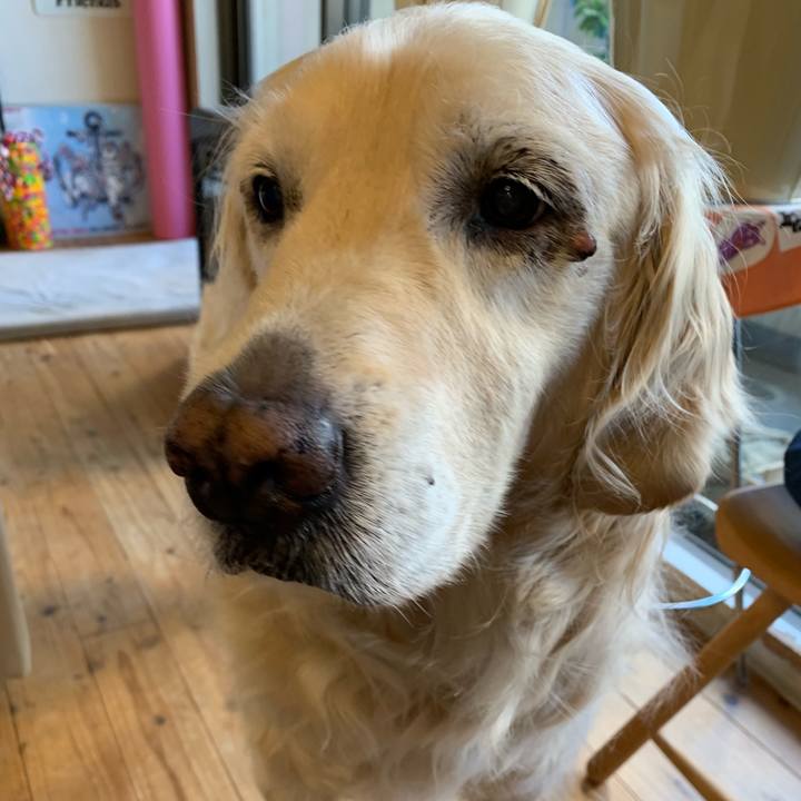 F4047a0d ec80 40d6 9cbe 72b58c9c161b 1558048585892