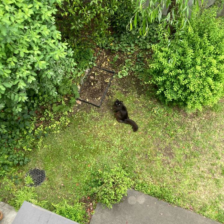 F404a531 8f03 4507 99dc dd108935ac44 1713877690846