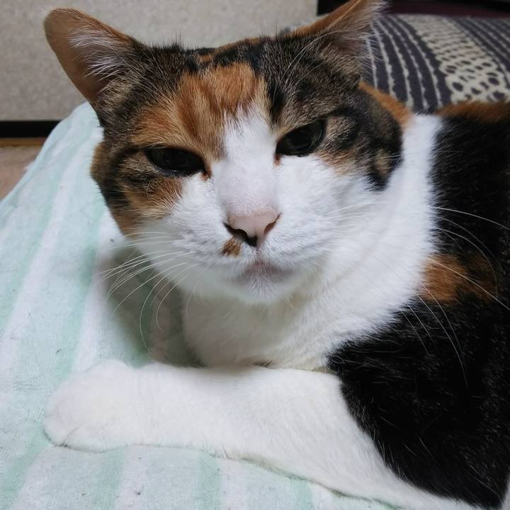 F404d967 26d3 4607 bf6d b5cb57b28212 1537748142451