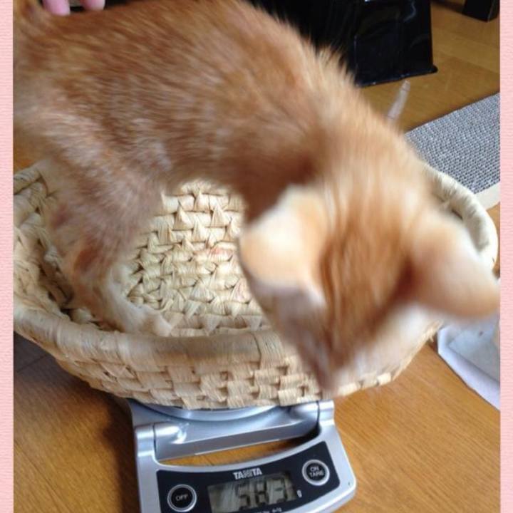 F404dc21 a8a9 4393 846f 9ccad1df1cee 1631335473737