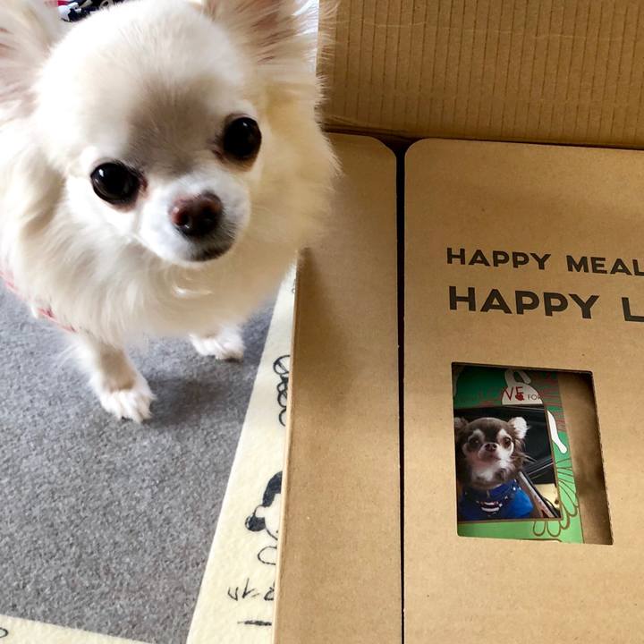 F404f160 c7c9 4b15 9ce6 439c704dcdd1 1549422457362