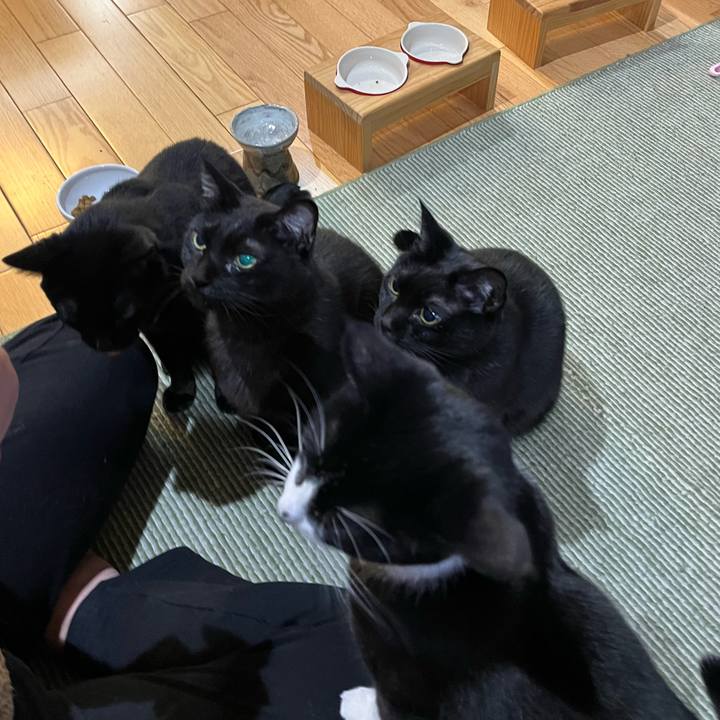 F4050044 54ea 48a3 953a b3a2489489a2 1738973205817