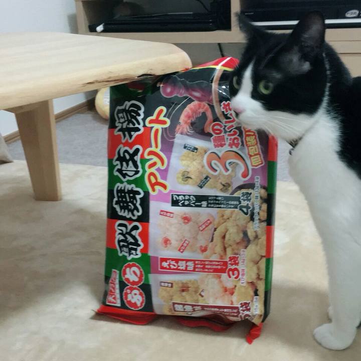 F40540f6 acaf 4c8c 96ca c68eb9b30fd5 1515071763110