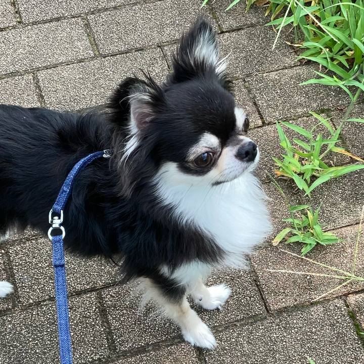 F4055454 8f72 4378 b7fc 0bd02b203a86 1660991449583