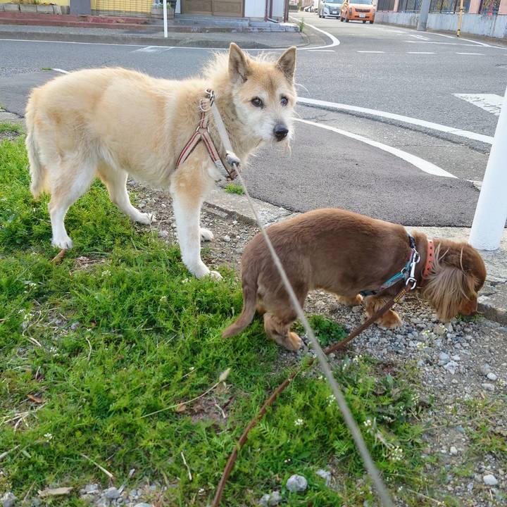 F40566bc cf58 411d b0bd dd7f0b69c574 1616142390196