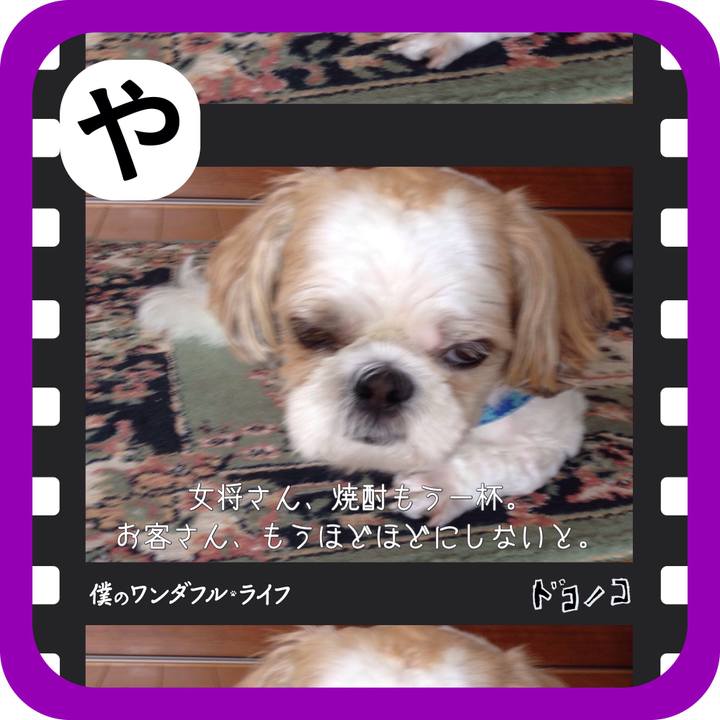 F405aa5f b4fa 48f9 93e4 dafac0709f7e 1515072949029