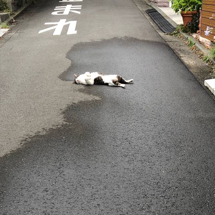 F405bbdd 39ed 4756 9bd4 53635345b68d 1530784654286