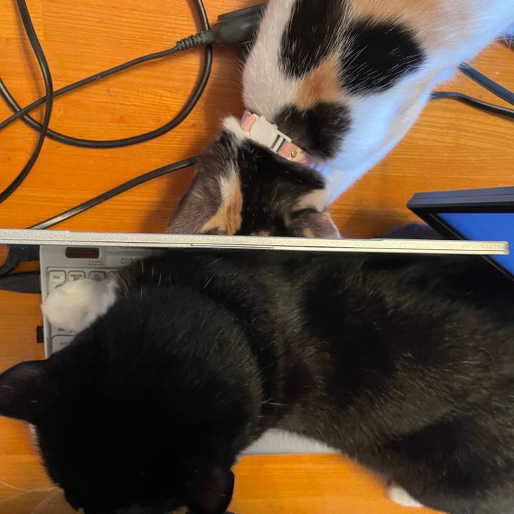 F405f13b 76e5 4508 b11a a5ca57da87d9 1670146231016