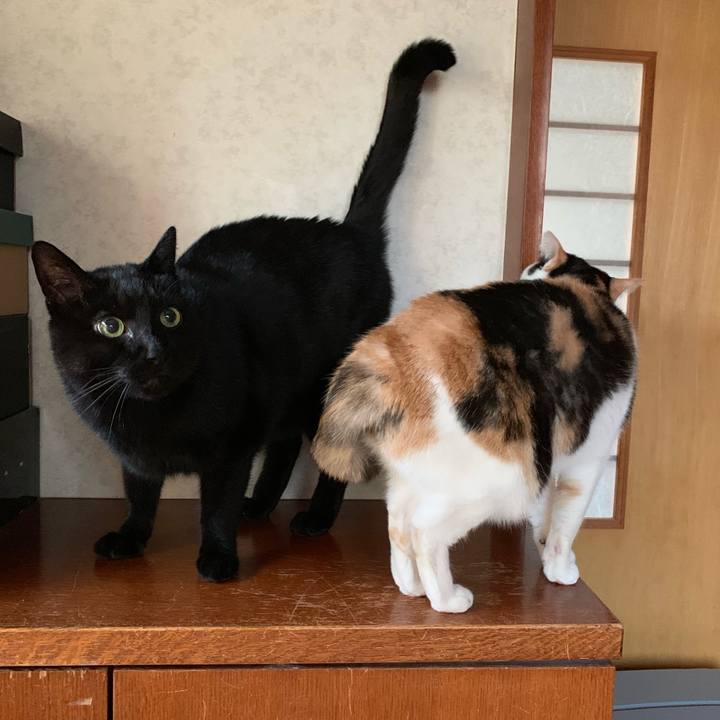 F4060937 f6d7 4e04 80f4 a90c11838558 1551662600756