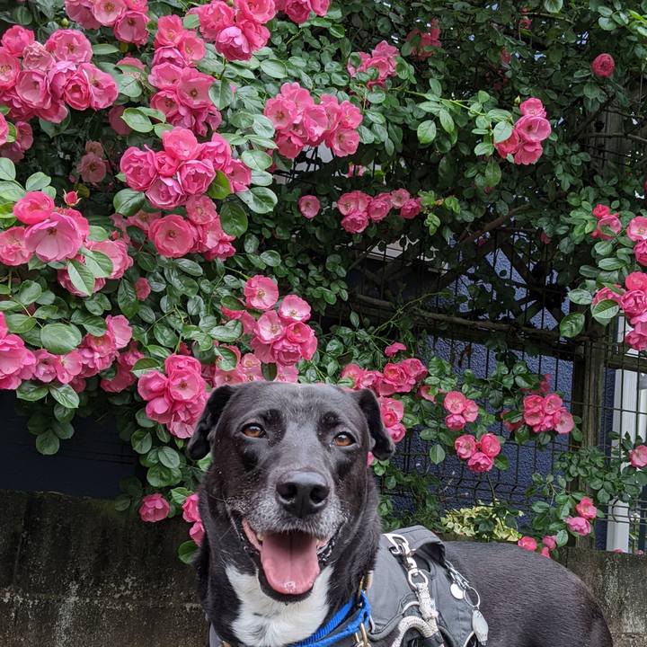 F4061b12 3beb 4fa4 a342 510b8a643bee 1652750463353