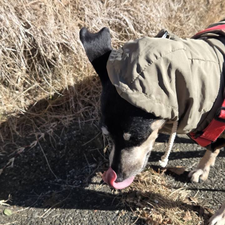 F4062295 f0a9 4b4c bcce 7a39ffe69193 1767840896610