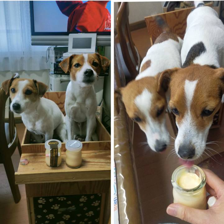 F4063abc 47f8 4105 b798 7cdef5abc488 1765785836730