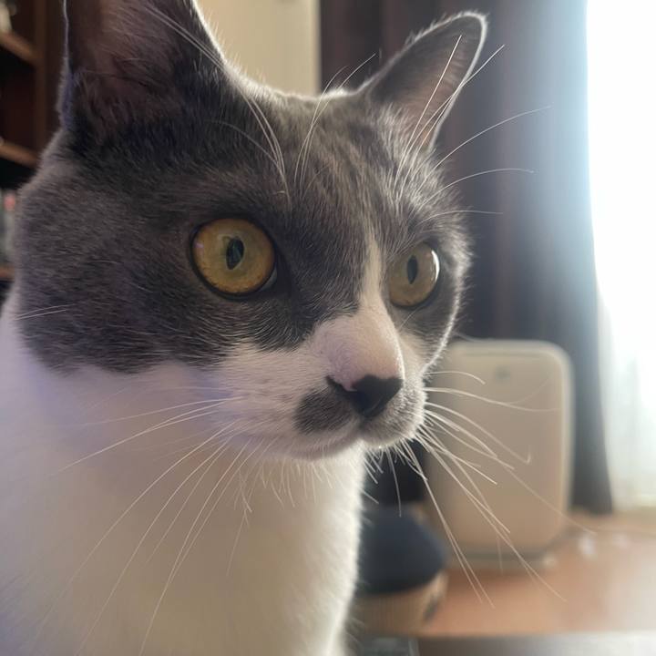 F4065136 9553 46ba abbd f5b733db34e0 1701300763171