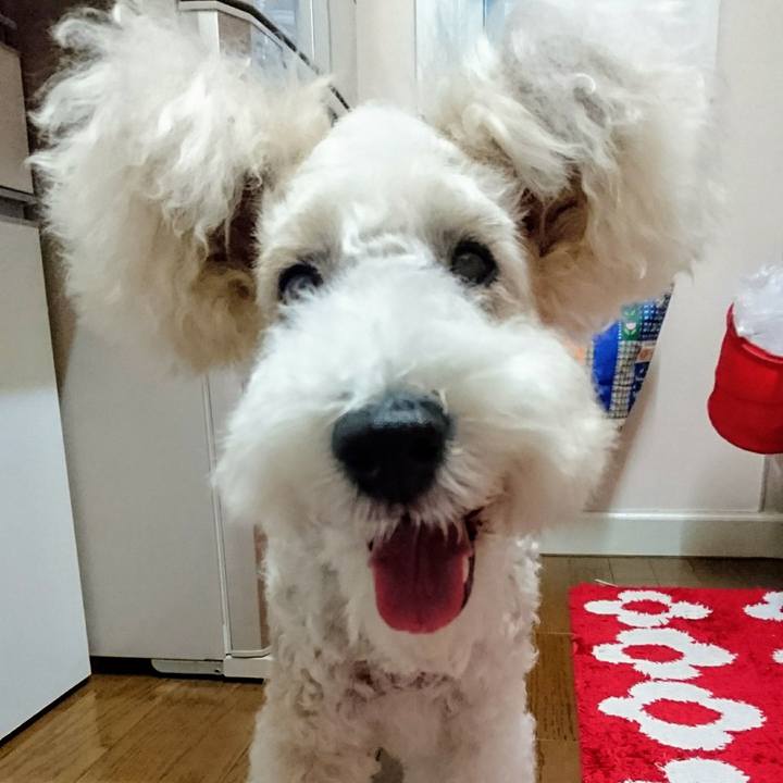 F4065ec7 3c92 40d6 a88e f24e562e0bd2 1561456674869