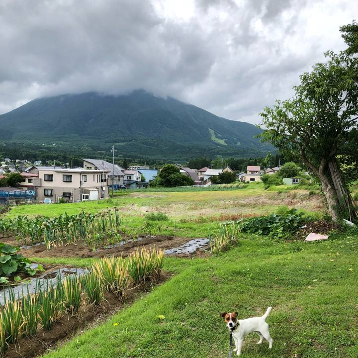 F4066d02 6365 4782 973a 9c62b8ff9947 1530070365589