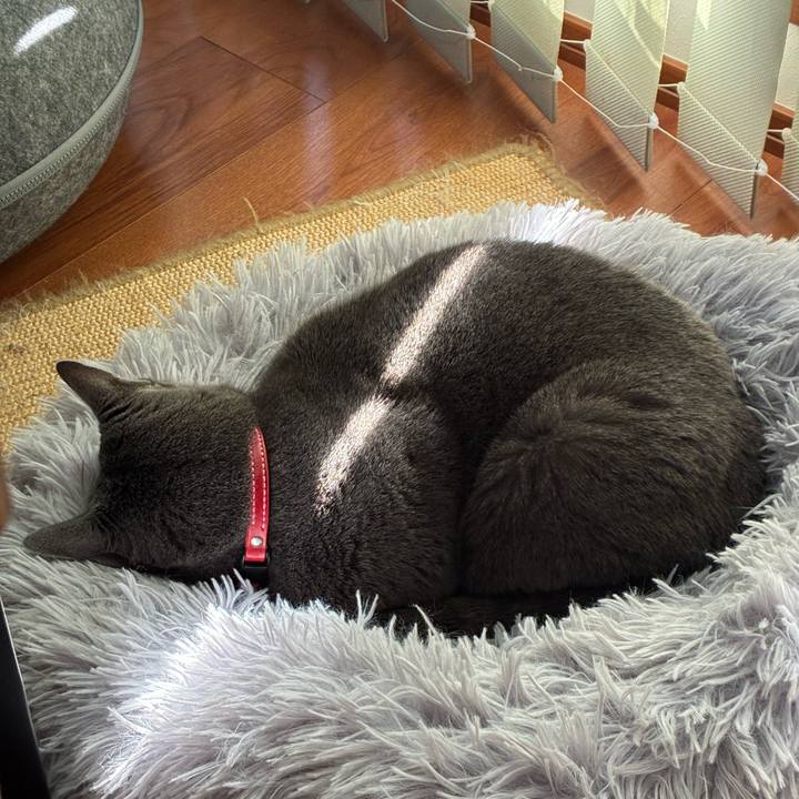 F40687b2 b6dc 4037 b095 b34fa1293aff 1764896739685