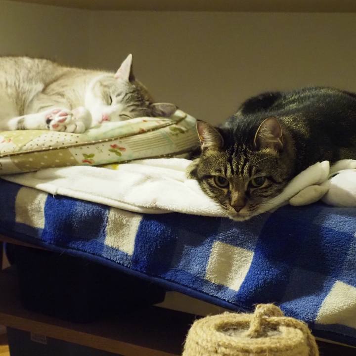 F406a193 bf89 4bef 8cbd d08105bd7e01 1632661869744