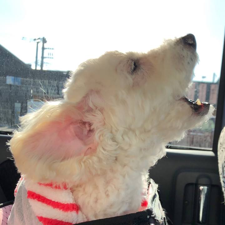 F4070db1 98c3 4e7e 8521 98afe9c4bc7a 1553401799198