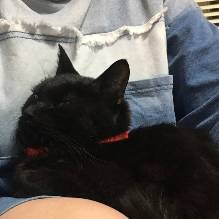 F40744ba 8b91 4c41 94d9 c7e4daa7e644 1589534343376