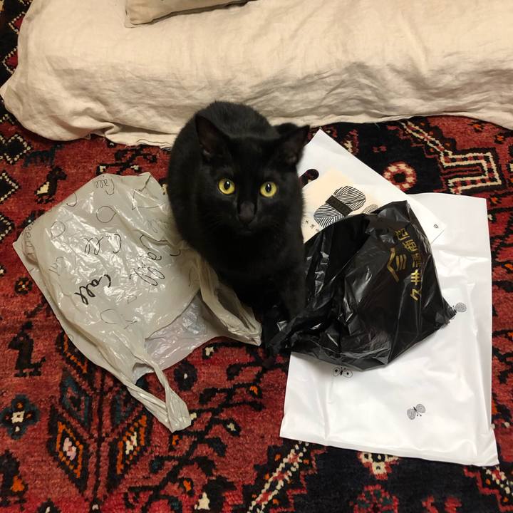 F4076345 e518 404d a056 41942798689b 1565436327792