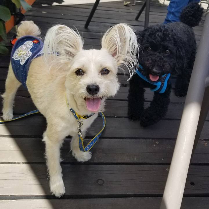 F4079067 0419 49a7 b0b3 3fd979c90b9c 1528890882172