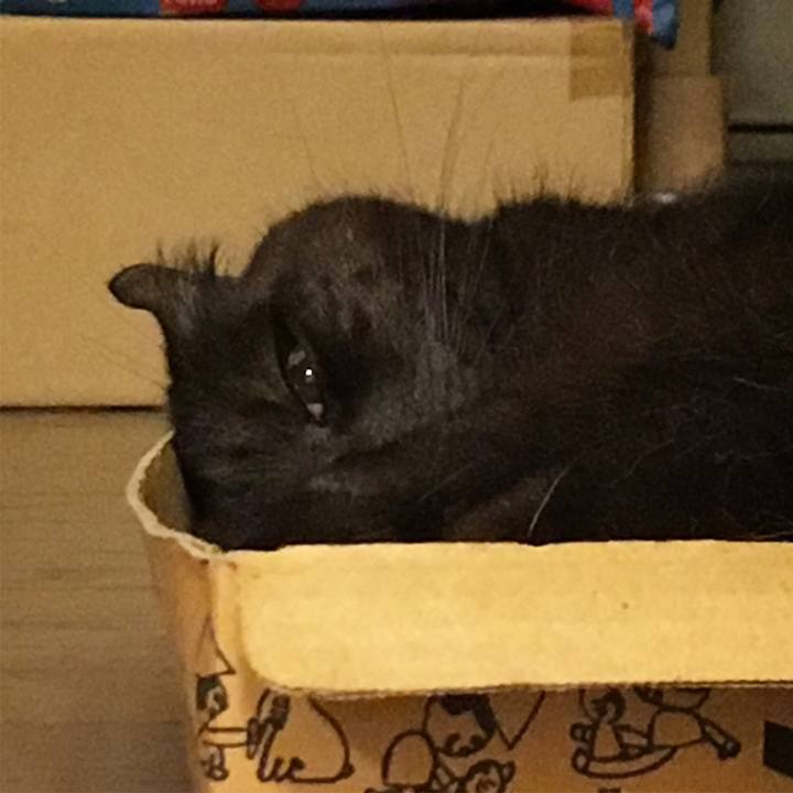 F407b866 912f 42da aed2 b816b70309a7 1528646756524