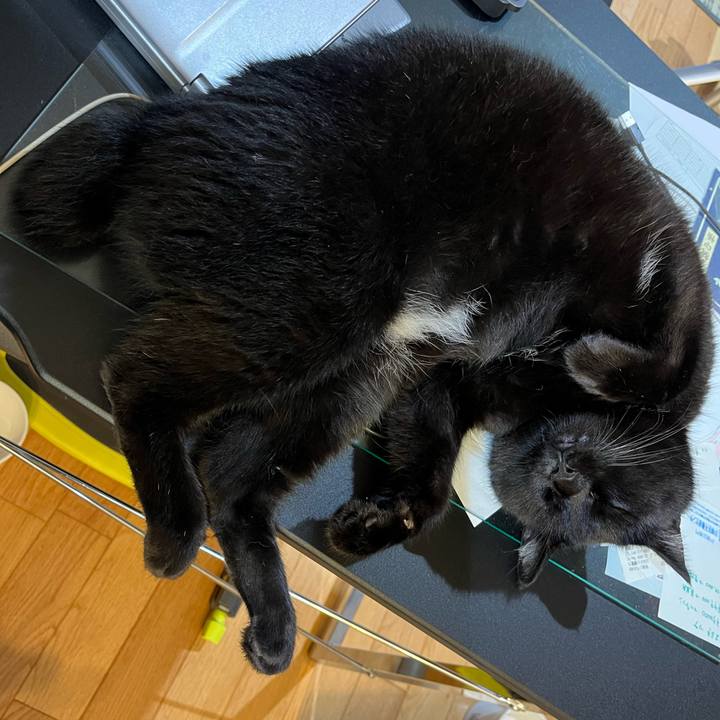 F407c27e 1ee8 4b62 b16c 93dba93c3975 1659968766343