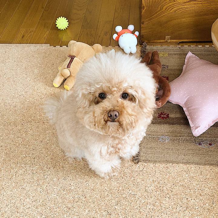 F407e21a 4760 483c b599 d2dd57935d79 1519607988131