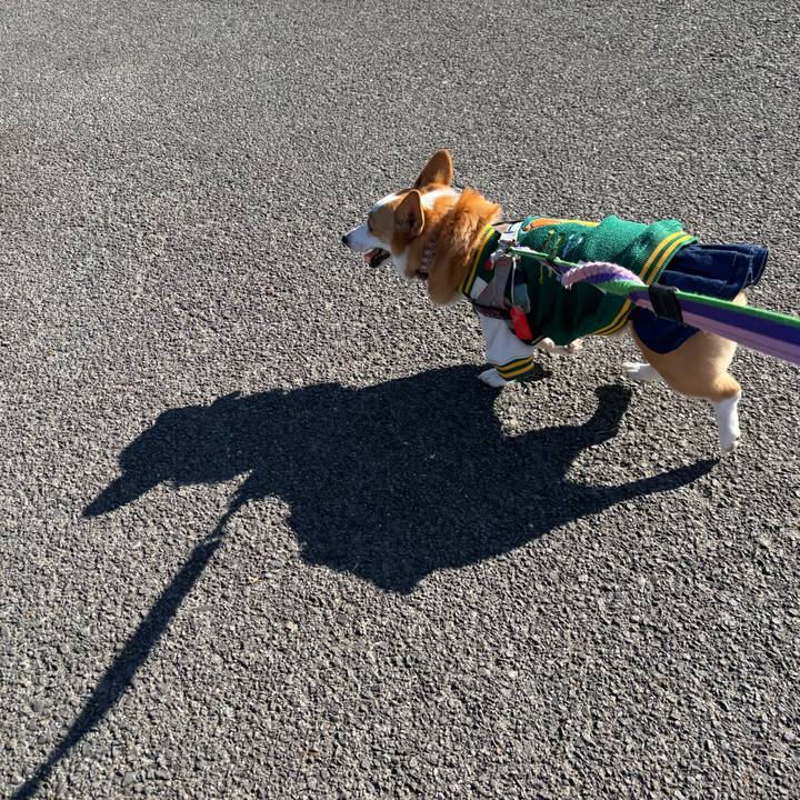 F4080277 8218 4478 873e 7608342db5bb 1765088998198