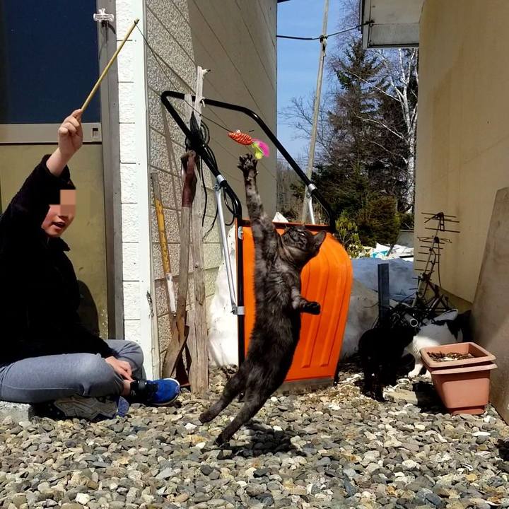 F408375c 518f 43d6 b231 e96f1749f045 1585975757325