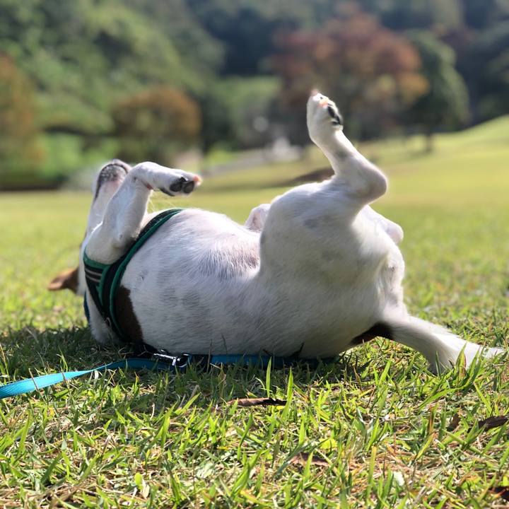 F4083cc3 408d 4492 84d7 83c2c0d9279e 1574328985821