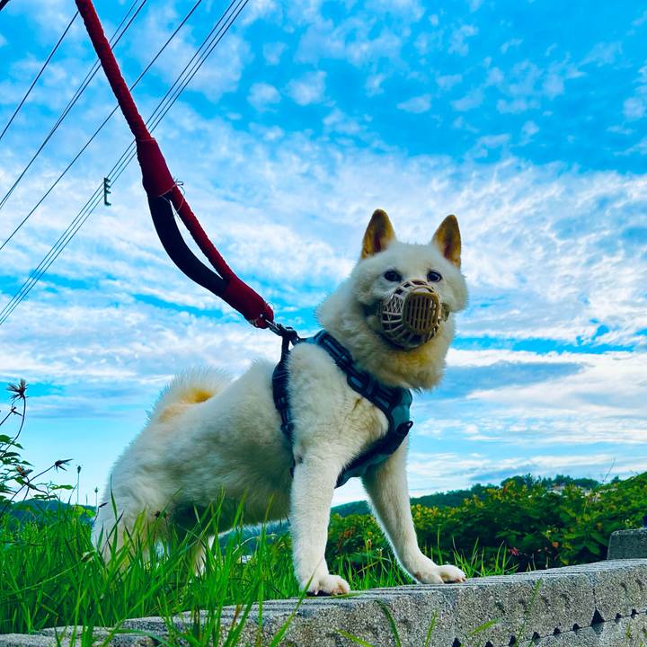 F408a07e da3f 4bc3 a855 35afc0f6f8c8 1754082301730